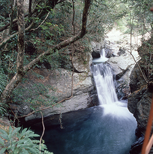 น้ำตกเอบิดารุ (Ebi-daru falls)