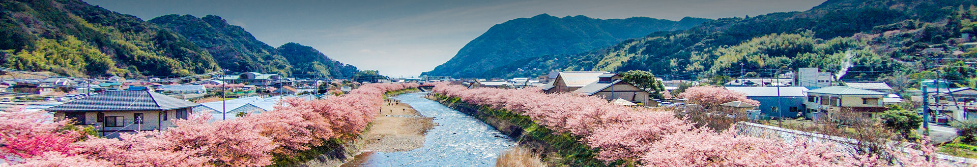 河津の魅力