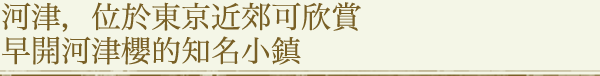 河津，位於東京近郊可欣賞早開河津櫻的知名小鎮