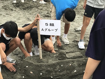 三島市立南中学校自然体験～今井浜民宿組合