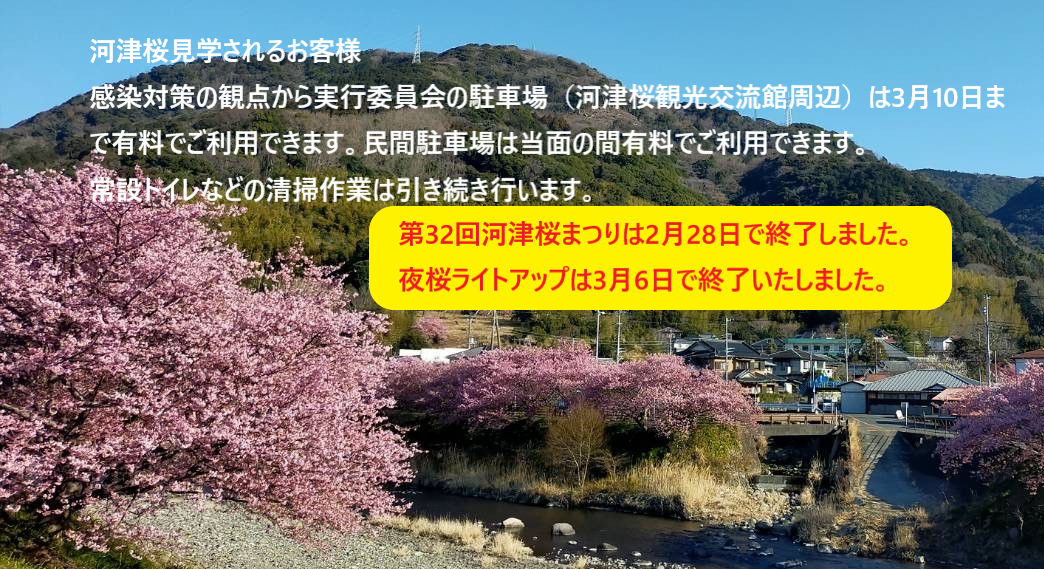 河津桜まつり実行委員会よりお知らせ