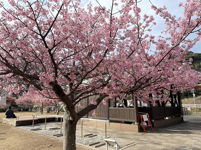 笹原公園周辺はきれいです。