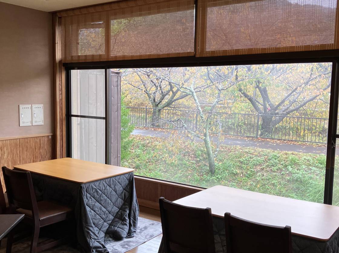 河津桜まつり　「お花見弁当」「お花見御膳」予約開始！