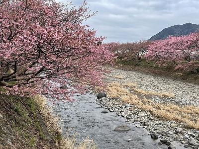 峰小橋付近