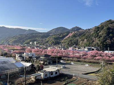 涅槃堂　見晴台からみた風景