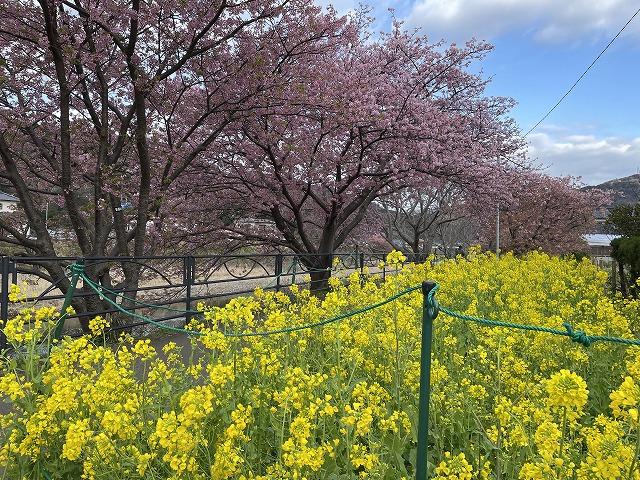 笹原公園周辺