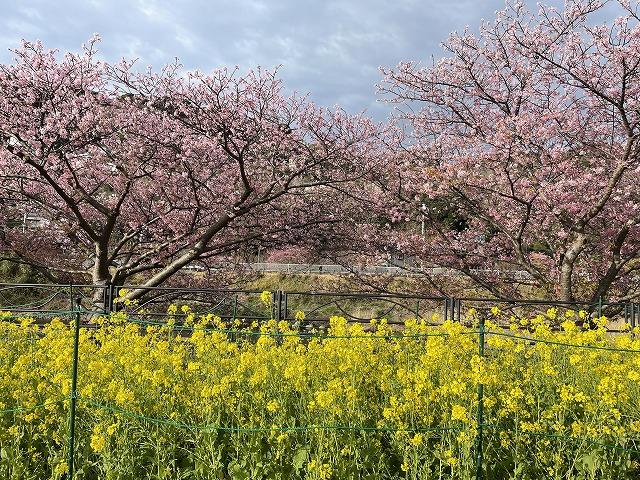 笹原公園周辺はきれいです。