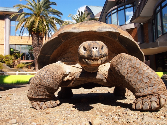 体感型動物園iZoo