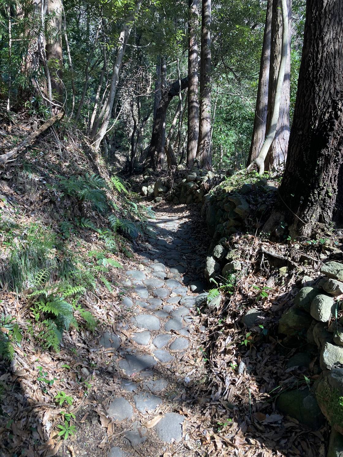 河津城跡