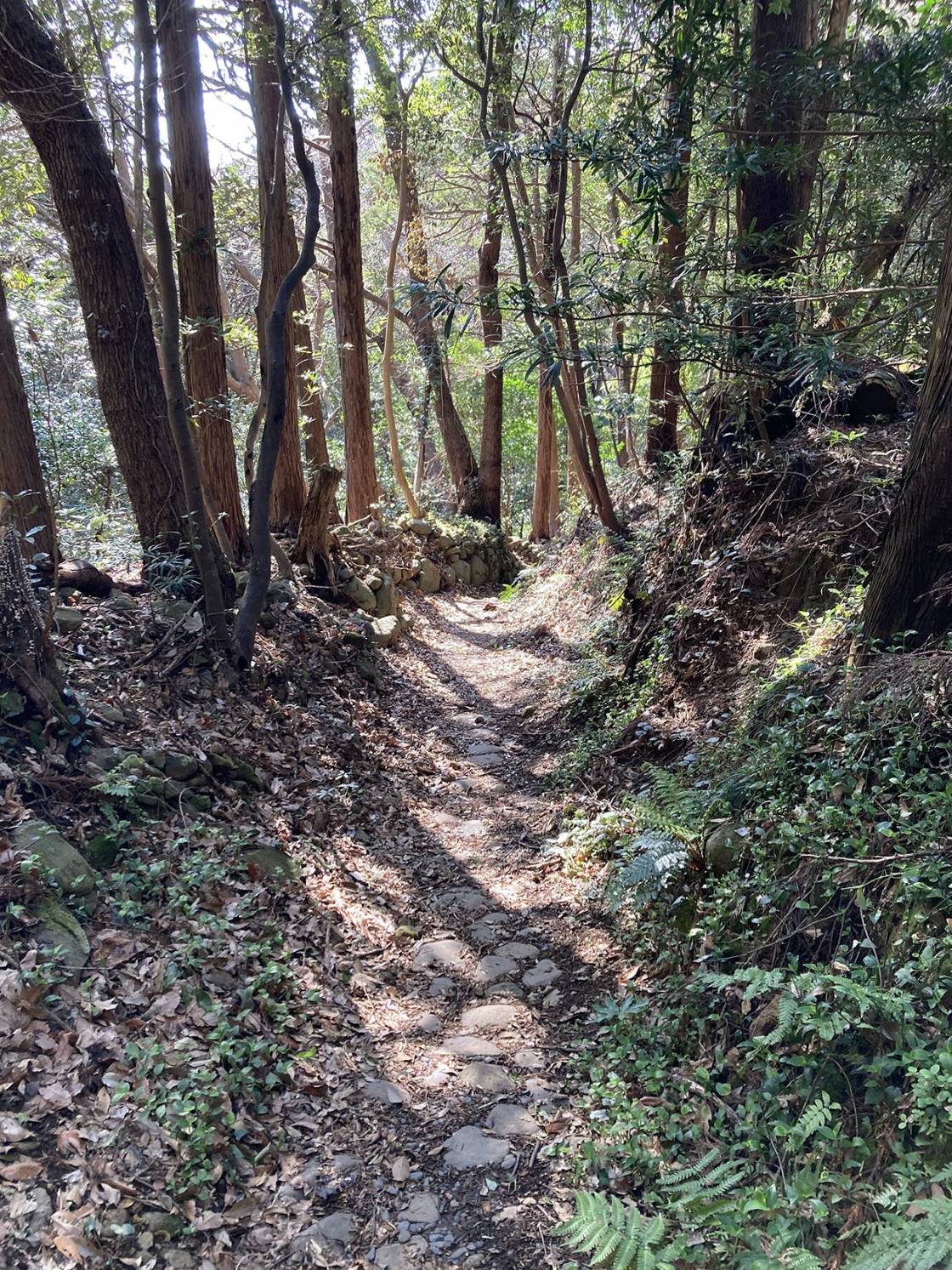 河津城跡