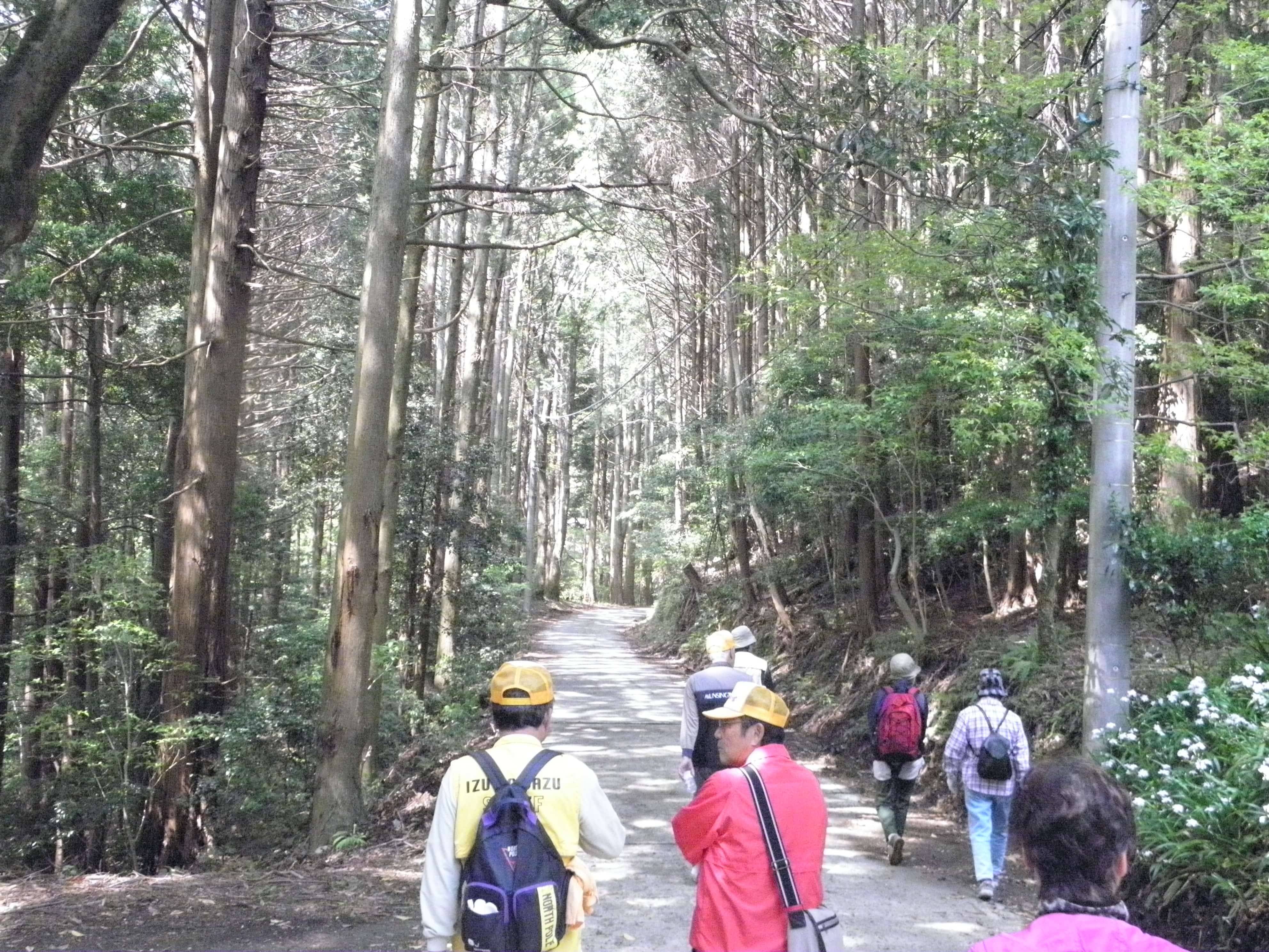 天城山隧道(旧天城トンネル)