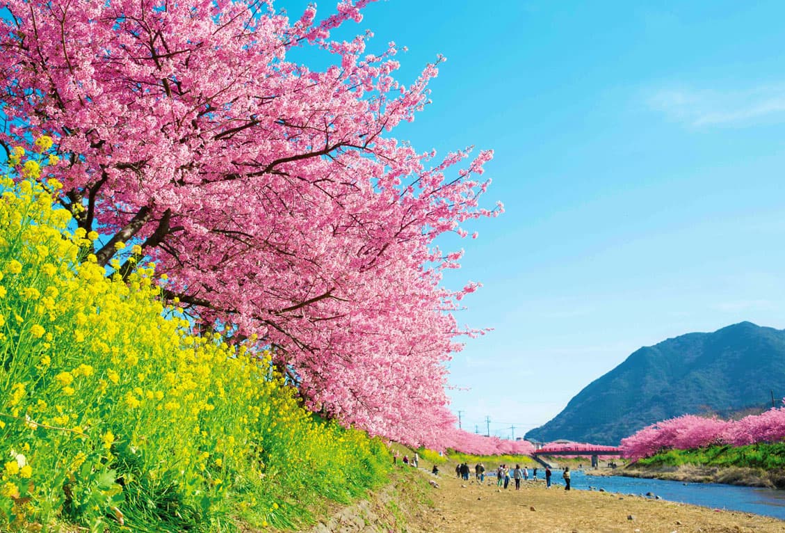 A beautiful town surrounded by ocean and mountains, Kawazu Town