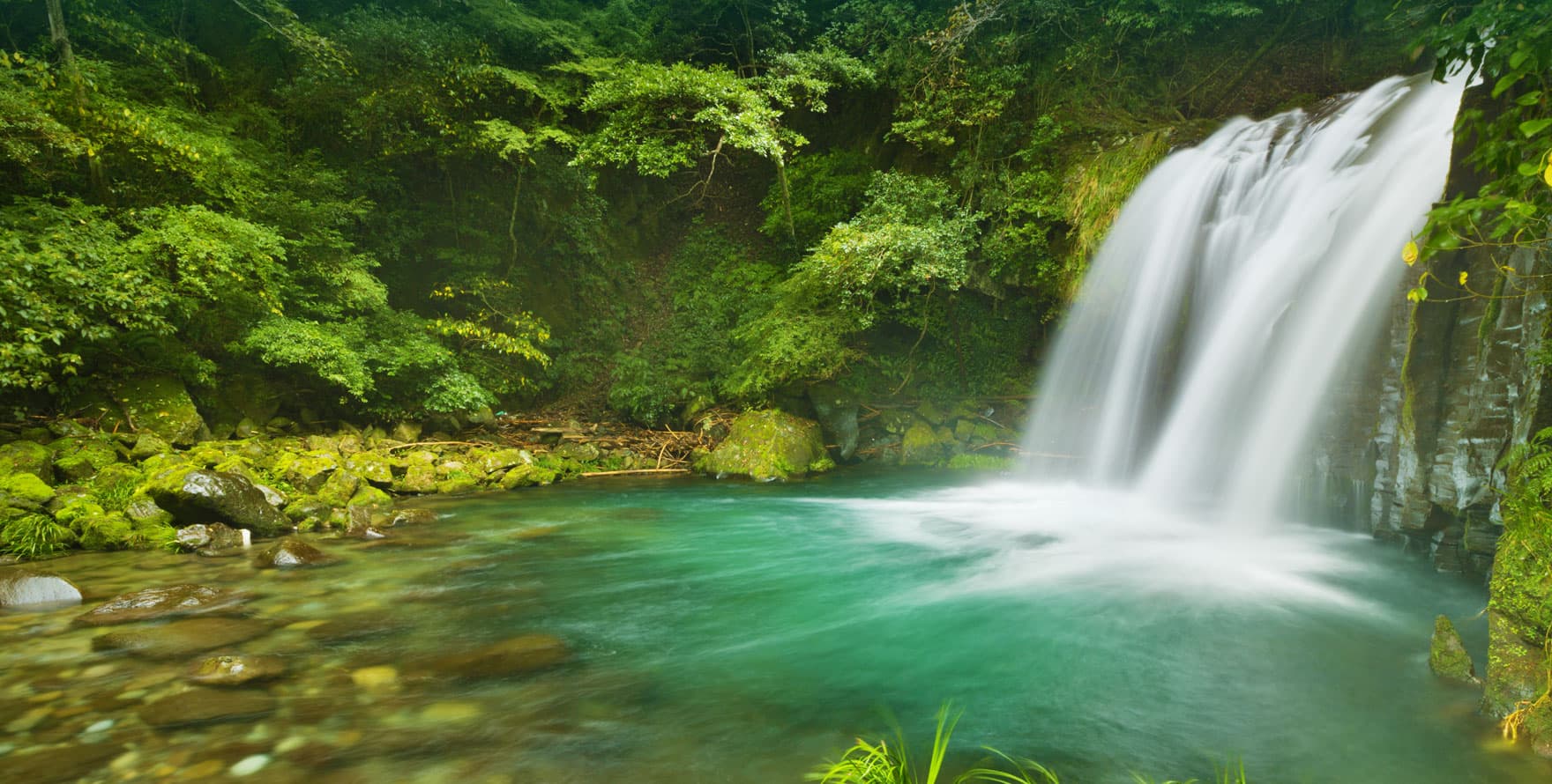 Kawazu Tourist Association [Official Website] An onsen resort
