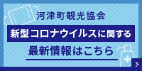 河津町観光協会 新型コロナウイルスに関する最新情報はこちら