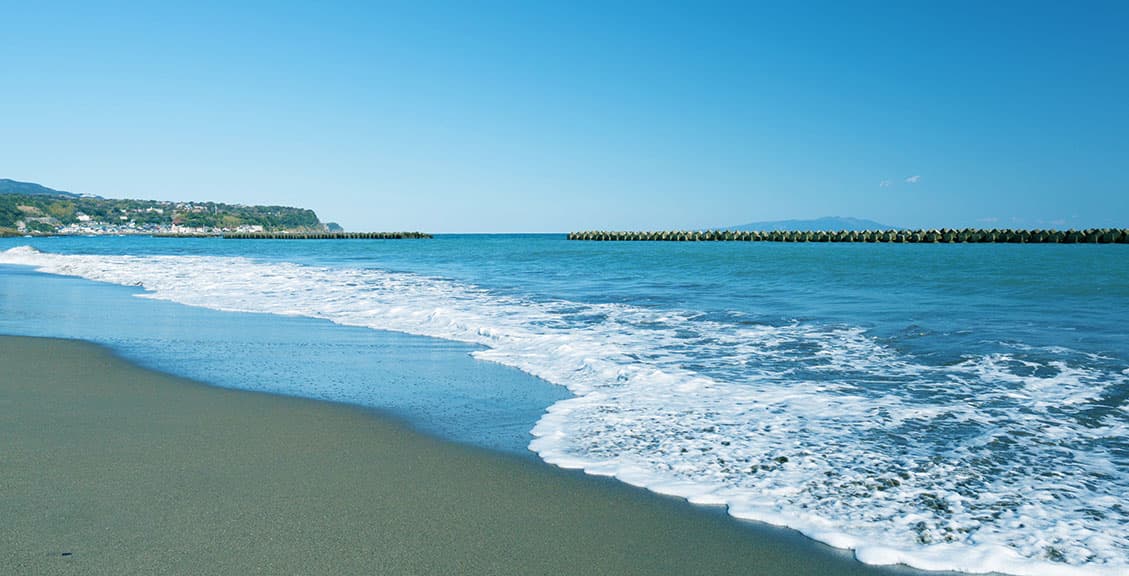 海と山の自然に囲まれた美しい町、河津町