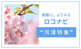 ロコナビ 河津特集