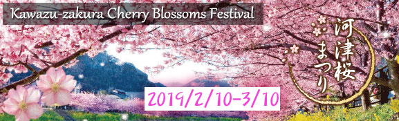 Kawazu-zakura Cherry Blossoms Festival