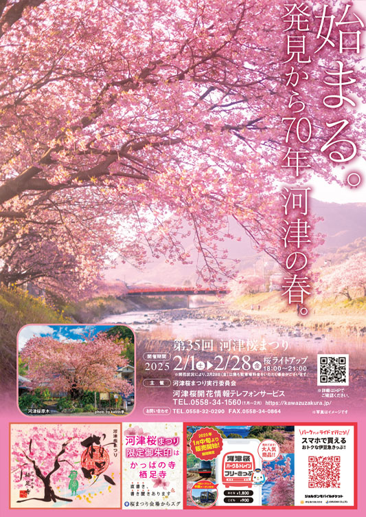 河津桜まつり（表）